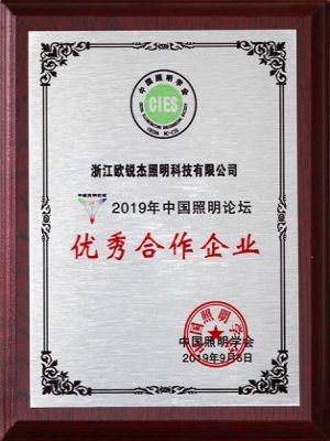 2019 China Lighting Forum Outstanding Cooperative Enterpri 