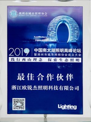 Best Partner of South Taihu Lighting Summit Forum 