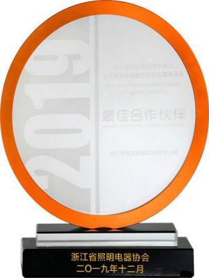 Best Partner of Zhejiang Lighting and Electrical As 