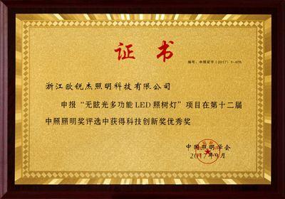 The 12th Zhongzhao Lighting Award-Science and Technology 