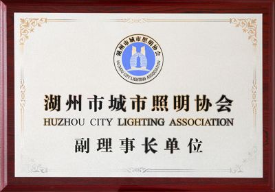 Vice Chairman Unit of Huzhou Lighting Association 